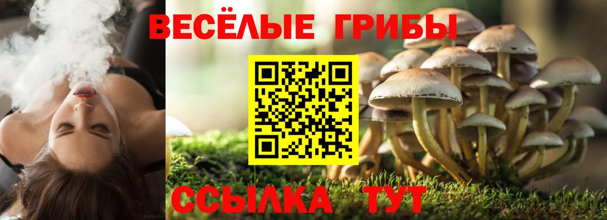 Галлюциногенные грибы Magic Shrooms Кисловодск